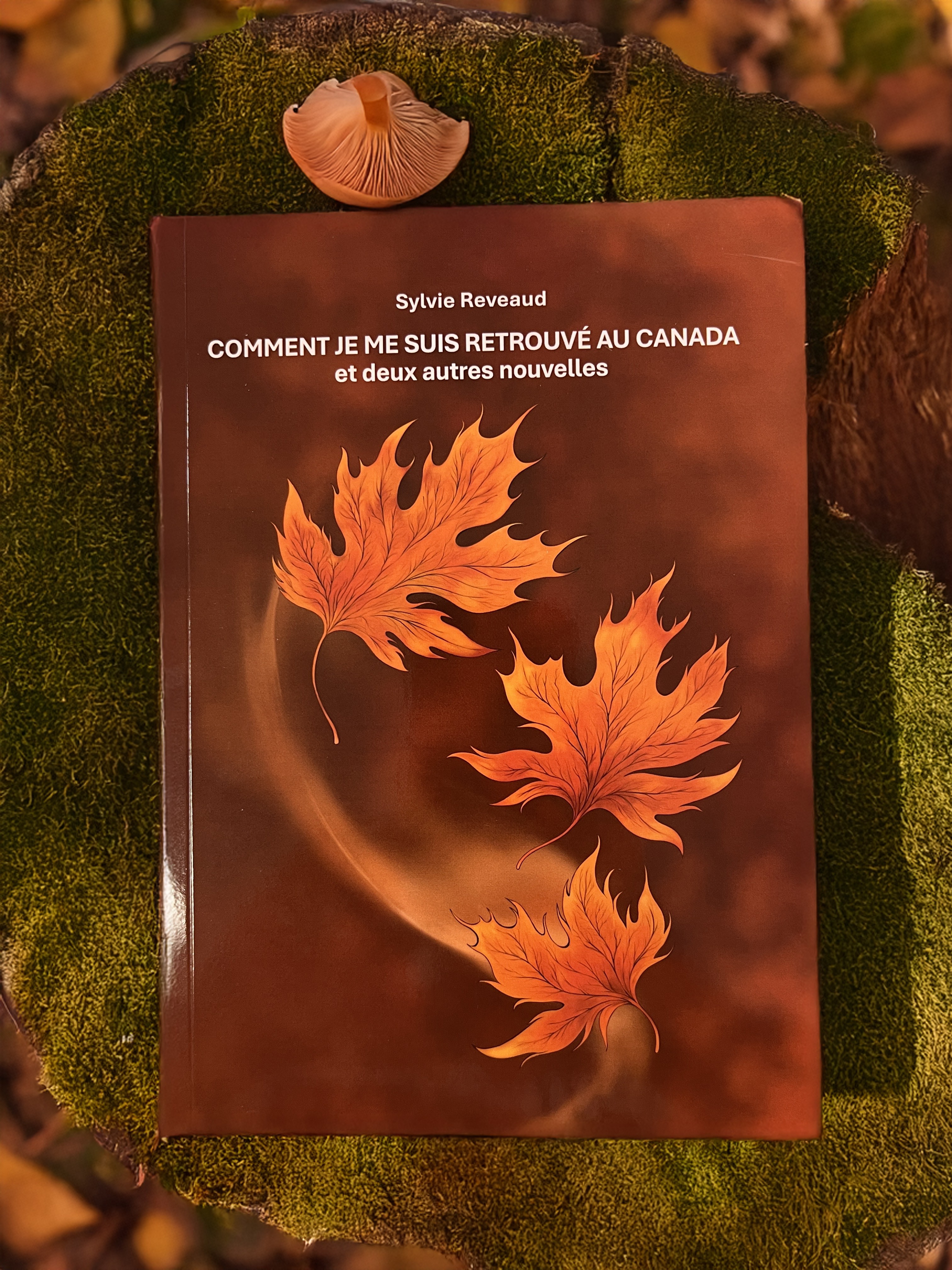 Comment je me suis retrouvé au Canada
